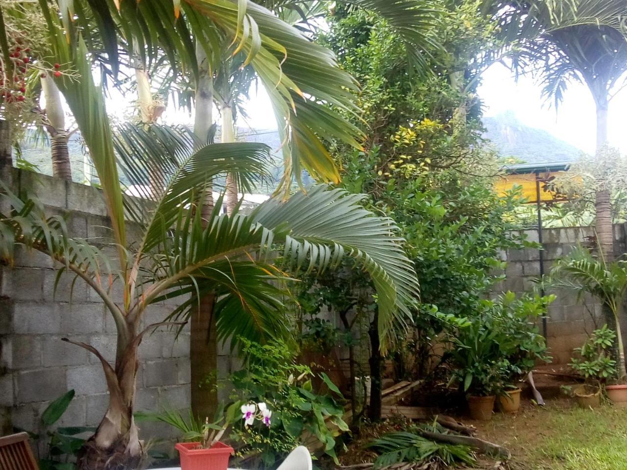 Corner Bay Apartments Beau Vallon,Mahe Victoria Eksteriør bilde